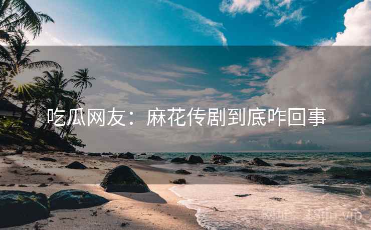 吃瓜网友:麻花传剧到底咋回事